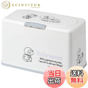 yzXP[^[ (skater) R }XNXgbJ[ tgAbv I'm h TI 60[ MKST1NAG-A