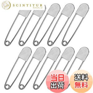 yzHymyily XeX| W{Ss 10{Zb  傫 W{ h[уhCN[jOp̑傫ȃs i jbPzCg j