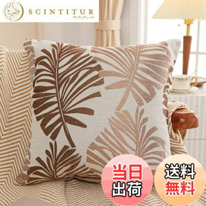 yzYunJeude NbVJo[ 45x45cm k 2Zbg Ȃƃl   t̕ WK[hD t@Xi[ CeA (45x45, R[q[)