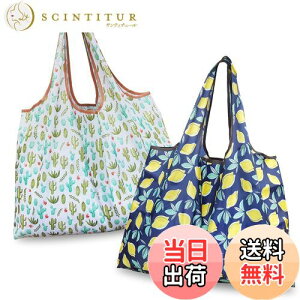 yz[GOKEI] GRobO y2 50×67cm eʁz ܂肽 obO RrjobO hf [ ≘ɂ y RpNg