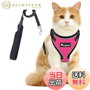 yzL Lp n[lX  L ˂ lR qL q ^ U o Ȃ xXg \tg y ʂ}WbNe[vő TCY߉ 锽 ʋCbV