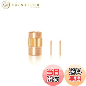 yzSOUL POWER K_}[J[GAuVڑpWCgZbg [dGAuVp vf ͌^hp