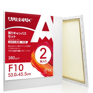 【送料無料】AUREUO 張りキャンバス セット F10 (53.0cmx45.5cm) 中目 100%コットン 2枚 初心者 絵画用具 芸術絵創作 現代油絵 美術装飾 水彩画・油絵画・アクリル兼用