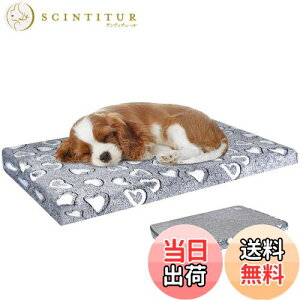 yzVANKEAN xbh ybgxbh ybg}bgX ӂӂ ^p ^p hCjO O\ @Ő􂦂 lG ʔN^Cv ƂT|[g CgO