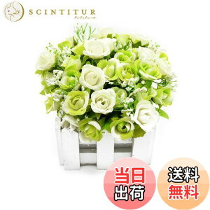 yzBEADY ~j_C[o lHϗtA  G} tFCNO[ CeA Mtg j (ԍ(zCg), O[&zCg)