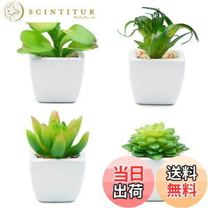 yzTOSSOW lHA ~j lHϗtA  ͂Ȃ CeA 4_Zbg ` v[g