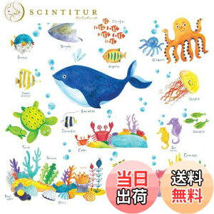 yzDECOWALL DS-8027 C̒ C̐ () EH[ XebJ[ fR ct ۈ牀 q DIY p Ǔ] V[ EH[A[g V[ j̎q ̎q 18 ǂ oX[ fR