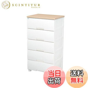 yzVn(Tenma) g₷ǋ`FXg TCYoG[VLx { i tBbcvX 5i 擾 obNtŔh X[YȈo rt