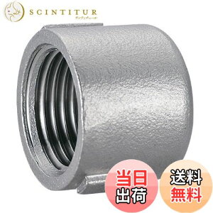 yzSANEI(TGC) svȔzǂӂ XeXLbv Ă10