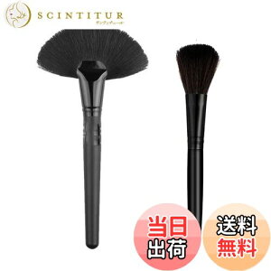 �y���������zDFsucces �w�A�u���V �t�B�M���A�p �N���[�j���O�u���V �_�炩�� ���ɍב@�� �|���z�R�� �Ód�C�h�~ �v�����f�� �K���v�� �t�B�M���A �u���V��{���Z�b�g