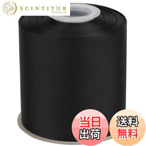 yzyIDECORRIBBONSzOO{ 100mm×S22m ubN(#030) 1[bE{wASEv[gbsOEDIY|