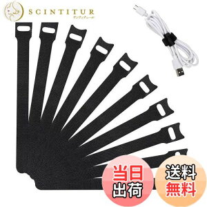 yzNeyiem P[u[e[vėp\ R[h܂Ƃ P[uŒoh z  [oh ƒ/ItBX/f[^P[up oh}WbNoh 100{15CM (u