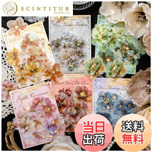 yzArpaper V[ R[W f t[NV[ lߍ킹 PET  킢 LL 蒠 X}z ̎q m[g  XNbvubN V[ XebJ[ fR R[