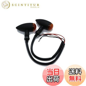 yzBeatus eی^ ~j ECJ[ lWa10mm oCN ėp JX^ p[c 12V 2Zbg LEDł͂܂ (ubN×Ao[ 2)