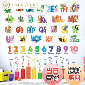 yzDECOWALL SG3-2316 At@xbgAAFM EH[ XebJ[ fR ct ۈ牀 q DIY p Ǔ] V[ EH[A[g V[ j̎q ̎q ǂ oX[ 