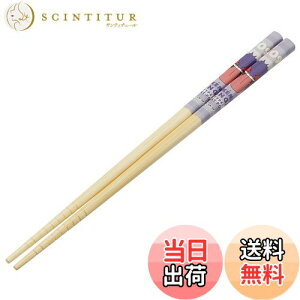 yzXP[^[(Skater) |S  | 21cm |PbgX^[ QK[  ANT4-A