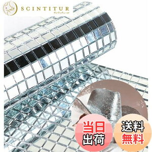 yzREDODECO {̃KX Vo[ ~[ UCN^C XebJ[ Ntgp ` KX^C ȔSA5mm x 5mm (Vo[A2400)