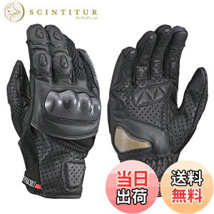 yzfCgi(Daytona) oCN O[u  bV v(Mv) J[{veN^[ X}zΉ X|[cbVO[u HBG-053 ubN MTCY 15925