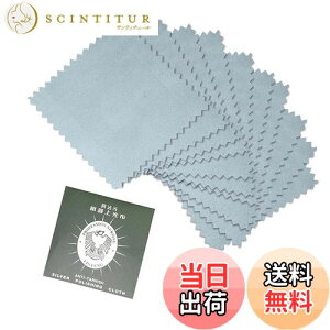 yzRICISUNG ␻i▁z Vo[ NXCVo[ip ANZT[  Vo[ ANZT[  ₷ CX w y rv F