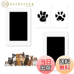 yzTVETE X^v `X^v `` X^v Ȃ y2Zbgz ڐڐGȂ X^v Lbg JԂ ybg ` `X^v  `X^v ybg y