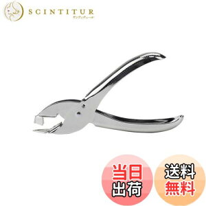 yzDFsucces zb`LX [o[ z`LXjO ̑͂܂ 莝^ RpNg ėp [   j z`LX (Vo[)