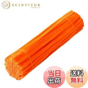 yzLeTradeJP |p[/H샂[ PF 30cm×6mm 100{ J[Lx Ntg[/i[ Ԍ`/t[C[ DIY萻 `f wZppi (IW)