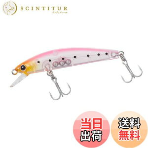 yz_C(DAIWA) o/AW A[ on^[50S VX