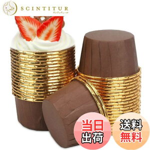 yzVivi Bakie }tBJbv 50 P[L^ x[LOJbv  ĝ P[LJbv DIY ٗpi ϔM h ϖ I[uΉ (R[q[+S[h)