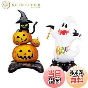 yzDFsucces nEB o[ 2 nEB  D ڂ S[Xg u  O  z[fR[Vp p[eB[ 