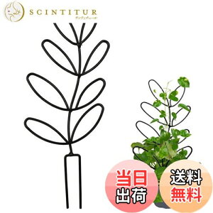 yzYUWENW |x Ax 1Zbg Ԃ Ԏx AT|[g ϗtA T|[g A|h~ Œ\ ėp\ AŒ A UT|[g 鐫Ap 