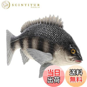 yzEXCEART  C̓ tBMA ̃f I  u  V~[V 