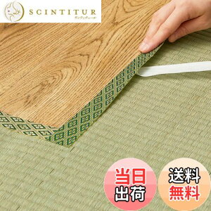 yz(Hagihara) EEȌCpe[v O[ 3m uNo.12v {