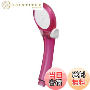 yzSANEI(TGC) V[wbh VW[ ߐE茳Xgbv XPgsN PS39631-80XA-CP6