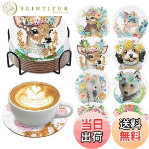 yzYOUSHYs[X _ChyCeBO R[X^[Lbg _ChA[g z_[t DIY (f)