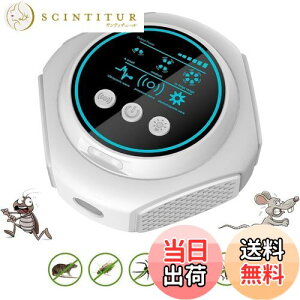 yzChayoo glY~쏜y2025AbvO[hŁzlY~ 쏜  Q΍ S É 4̃Xs[J[ 360° Q쏜 24ԘAғ ȃGl dg 