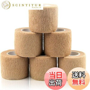 yzDFsucces  ȔS e e[sOe[v X|[ce[v sDzÏW Lk ʋC qɓKĂ܂ @\ ƒp (F, 5.0cm*4.5m)