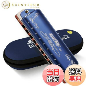 yzEast top n[jJ u[X 10n[jJ D 10z[20g[ ^JJo[ LoXP[X z S  ׋ Kp _CAgjbNn[jJ(T008K-BL-D-gm)