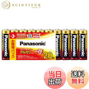 【送料無料】パナソニック アルカリ乾電池 単3形20本パック LR6XJ/20SW
