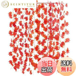 yzTumao lHgt K[h Ӎ nEB N NX}X  K[h gt̑ JGf̗t ݂  p  ݂ G lHt Be  DIY Cx  Ce