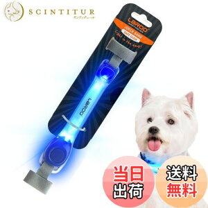 yzLaRoo LpSLEDCgoh _炩f h dr\yxNt@Xi[tUCg ̃[h܂͎ւɌŒz (Cgoh-)