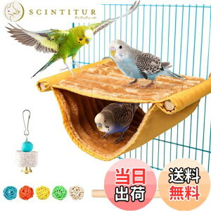 yz̐Q fO[nbNg̉Ƃ̑ o[heg ܂ރCR ~܂ ̂ CR nX^[ fO[ɓKĂ܂ (S)