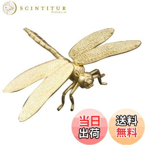 yzmamota  ANZT[ Ƃ x g{ u ^ ^ ^  CeA  I n`悯 J^ ACe ^J v[g (S[h)