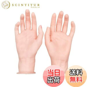 yzTVETE VR nhf nhg\[ lC Kpnh  胂f ͌^ Ȃ }jLA WG[Vbv WG[W ʐ^Be lCA[gW