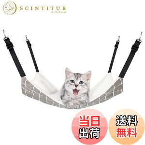 yzYFFSFDC L nbN͂Lbg ֎q P[Wp 傫 ω׏d6KG TCY\ 48cm x 38cm ybg Vя ʋC v ~ėp߉\ ʎgp (O[Ob