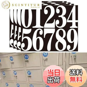 yzEsiFare  V[ 傫 h XebJ[ io[XebJ[ ԍV[ uI ڗXebJ[ x io[ (10cm4) ()