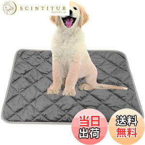 yzYFFSFDC ybgxbh L  }bg g ybgp uPbg zbg}bg Iۉ }bg zc ΍ ~ 􂦂 _炩 L ~  ^ ^ L