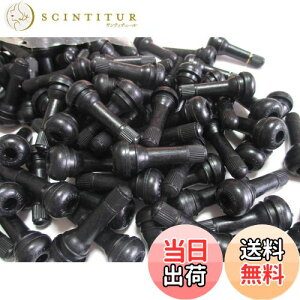 yzTR413 S GA ou 100 Zbg `[uX ^C  V Lbv t