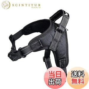 yzpn[lX[_[Zbg   bV \tg Ȃ ʋC ߉\ h~ ^ ^ U/P/o| (XS, ubN)