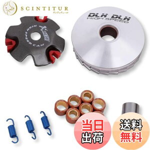 yzLezalic oCNp nCXs[hv[[ Zbg ( 14mm) 12mm/14mm v[[Lbg fBI Wm W[J[ DIO AF27 AF34 AF24 ZX ( 14mm)