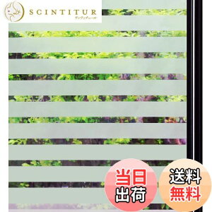 yzQualsen KXtB ډB V[g  tB  ߂V[g ptB œ\  Ռ fM ՔM Ih~ uvJbg ֖ډB Uh~ KX {